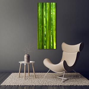 Vertikální Moderní skleněný obraz z fotografie Bambus osv-17587007