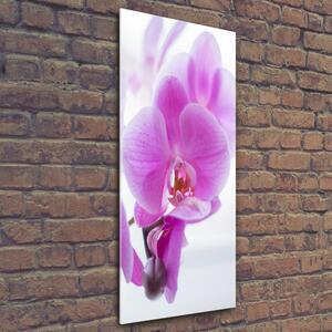 Vertikální Fotoobraz na skle Růžová orchidej osv-178713472
