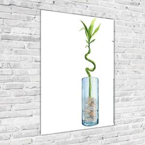 Vertikální Fotoobraz na skle Bambus v květináči osv-178935342