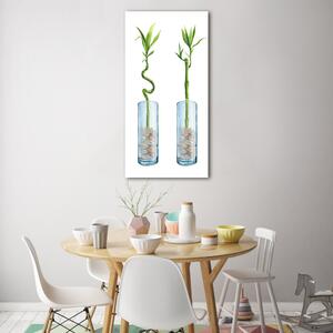 Vertikální Fotoobraz na skle Bambus v květináči osv-178935342