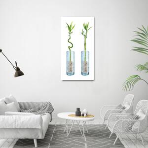 Vertikální Foto obraz na plátně Bambus v květináči ocv-178935342