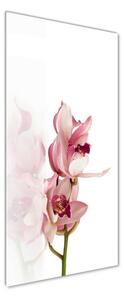 Vertikální Fotoobraz na skle Růžová orchidej osv-18886978