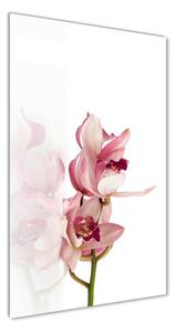 Vertikální Fotoobraz na skle Růžová orchidej osv-18886978