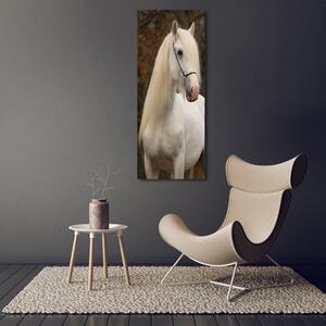 Vertikální Foto obraz sklo tvrzené Bílý kůň osv-20279247