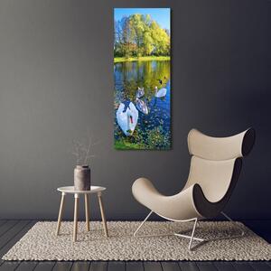 Vertikální Foto obraz na plátně Labutě na jezeře ocv-204130724