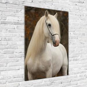 Vertikální Foto obraz sklo tvrzené Bílý kůň osv-20279247