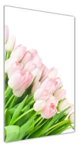 Vertikální Fotoobraz na skle Růžové tulipány osv-22467427