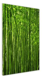 Vertikální Foto obraz sklo tvrzené Bambusový les osv-22860286