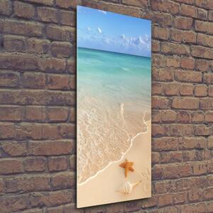 Vertikální Fotoobraz na skle Hvězdice na pláži osv-23665929