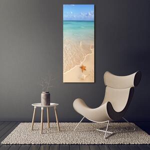 Vertikální Fotoobraz na skle Hvězdice na pláži osv-23665929