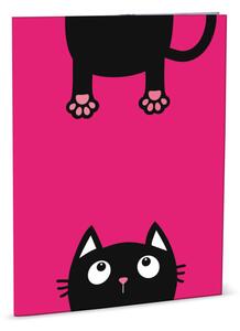 Stil Desky na abecedu Crazy Kitten
