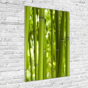 Vertikální Foto obraz sklo tvrzené Bambusový les osv-24255297