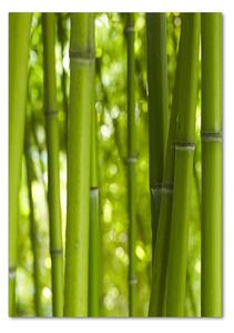 Vertikální Foto obraz sklo tvrzené Bambusový les osv-24255297