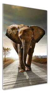 Vertikální Foto obraz skleněný svislý Chodící slon osv-25742331