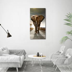 Vertikální Foto obraz skleněný svislý Chodící slon osv-25742331