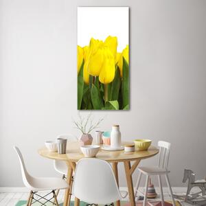 Vertikální Foto obraz fotografie na skle Žluté tulipány osv-2665979