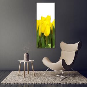 Vertikální Foto obraz na plátně Žluté tulipány ocv-2665979
