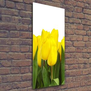 Vertikální Foto obraz fotografie na skle Žluté tulipány osv-2665979