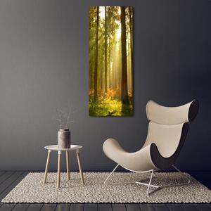 Vertikální Vertikální Foto obraz na plátně do obýváku Hezký les ocv-27621934