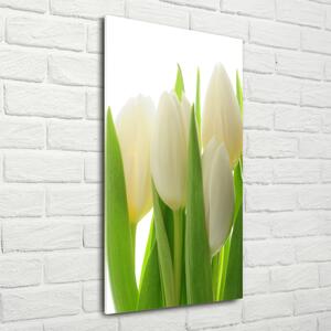 Vertikální Foto obraz fotografie na skle Bílé tulipány osv-28819889