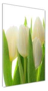 Vertikální Foto obraz fotografie na skle Bílé tulipány osv-28819889