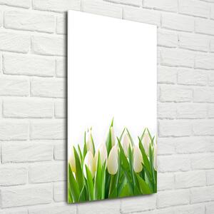 Vertikální Foto obraz fotografie na skle Bílé tulipány osv-30153186