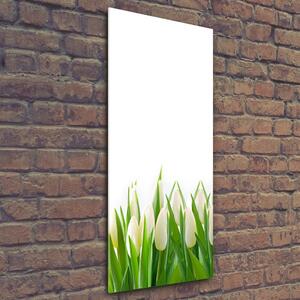 Vertikální Foto obraz fotografie na skle Bílé tulipány osv-30153186