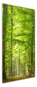 Vertikální Foto obraz sklo tvrzené Bukový les osv-31250020