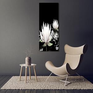Vertikální Foto obraz sklo tvrzené Květ lotosu osv-31116780