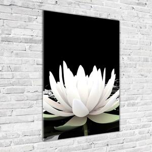 Vertikální Foto obraz sklo tvrzené Květ lotosu osv-31116780