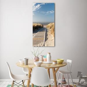 Vertikální Foto obraz skleněný svislý Stezka na pláž osv-31531037
