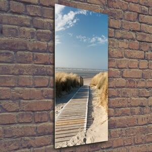 Vertikální Foto obraz skleněný svislý Stezka na pláž osv-31531037