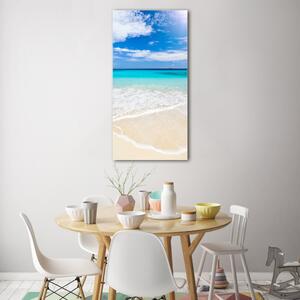 Vertikální Foto obraz skleněný svislý Tropická pláž osv-32914566
