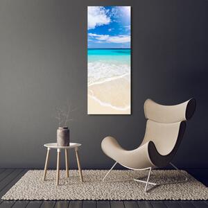Vertikální Foto obraz skleněný svislý Tropická pláž osv-32914566