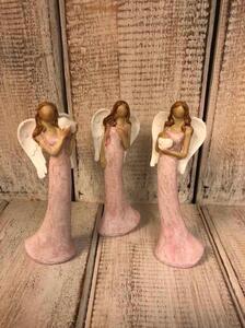 Růžová andělka - 3 druhy