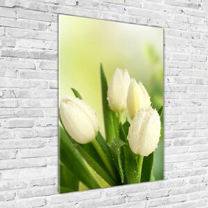 Vertikální Foto obraz fotografie na skle Bílé tulipány osv-34973360