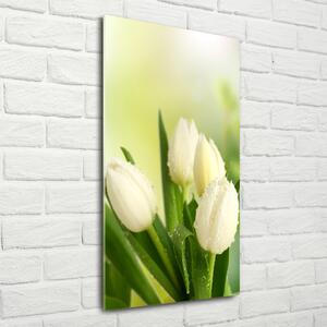 Vertikální Foto obraz fotografie na skle Bílé tulipány osv-34973360