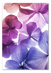 Vertikální Foto obraz skleněný svislý Fialové květiny osv-35152735