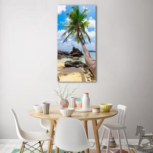 Vertikální Foto obraz skleněný svislý Tropická pláž osv-35559684