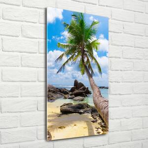 Vertikální Foto obraz skleněný svislý Tropická pláž osv-35559684