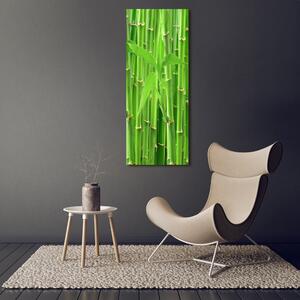 Vertikální Foto obraz sklo tvrzené Bambusový les osv-36350386