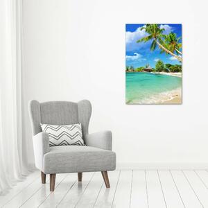Vertikální Foto obraz skleněný svislý Tropická pláž osv-37245256