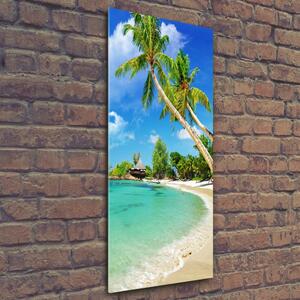 Vertikální Foto obraz skleněný svislý Tropická pláž osv-37245256