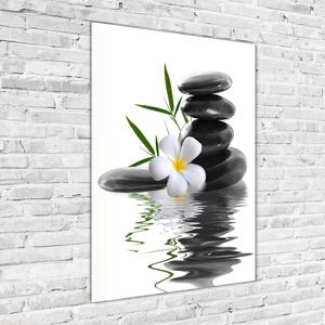 Vertikální Fotoobraz na skle Orchidej a kameny osv-36696860