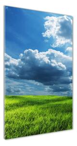 Vertikální Foto obraz skleněný svislý Mraky nad polem osv-3757298