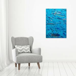 Vertikální Foto obraz canvas Korálové ryby ocv-39421860