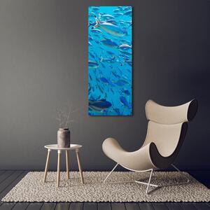 Vertikální Foto obraz sklo tvrzené Korálové ryby osv-39421860