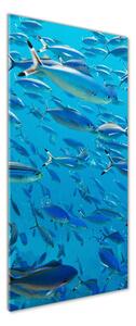 Vertikální Foto obraz sklo tvrzené Korálové ryby osv-39421860
