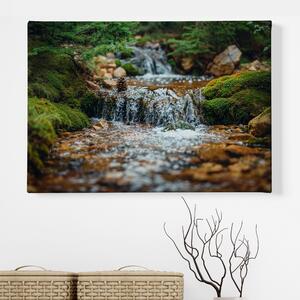 Obraz na plátně - Malý vodopád s šiškou a mechem FeelHappy.cz Velikost obrazu: 90 x 60 cm