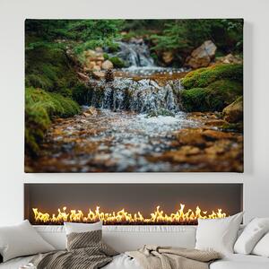 Obraz na plátně - Malý vodopád s šiškou a mechem FeelHappy.cz Velikost obrazu: 210 x 140 cm